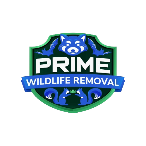 Animal Removal North Township